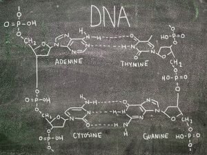 dna