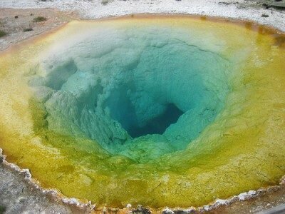 Pengertian Archaebacteria, ciri, klasifikasi dan contoh