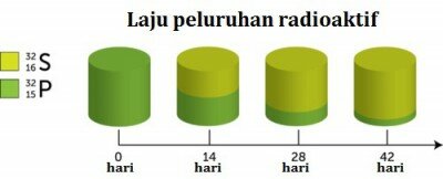 laju peluruhan radioaktif