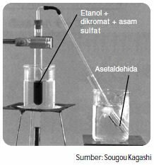 Oksidasi alkohol primer